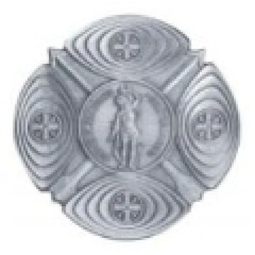 Jugend-Verdienstorden in Silber