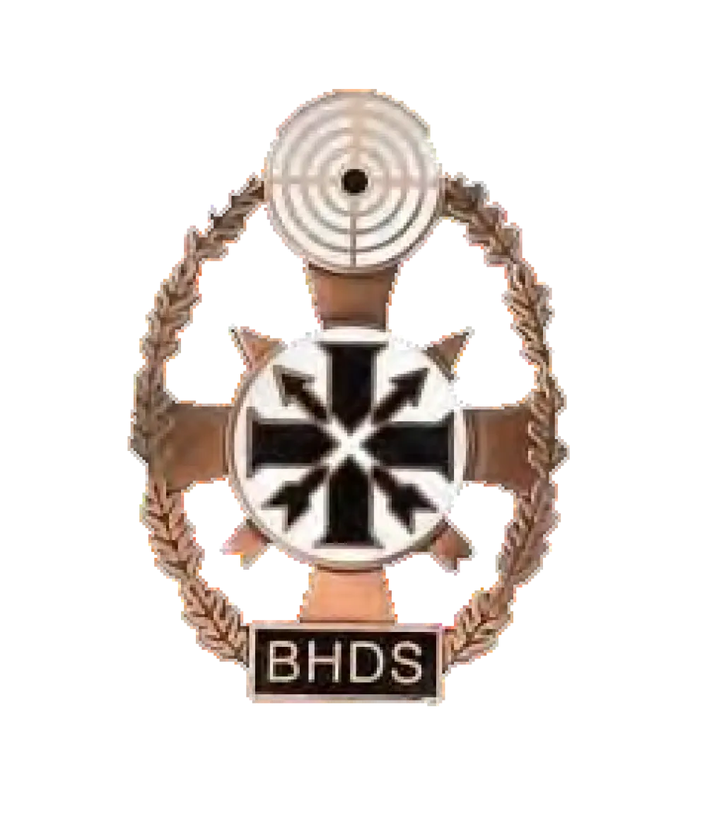 Ehrenkreuz des Sports in Bronze